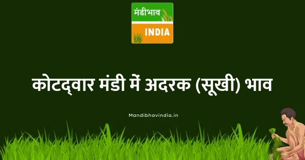 ginger dry भाव